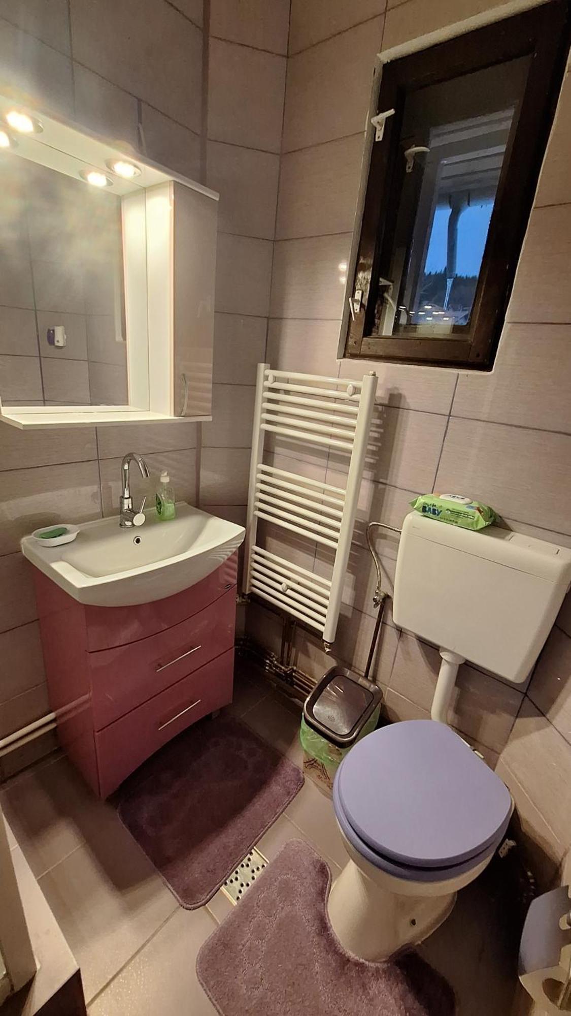 Casa Antonia Hotel Azuga Eksteriør billede